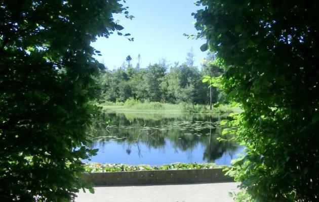 4 Persoons Appartement - Ook Te Boeken Voor 6 Personen! Bakkeveen 外观 照片